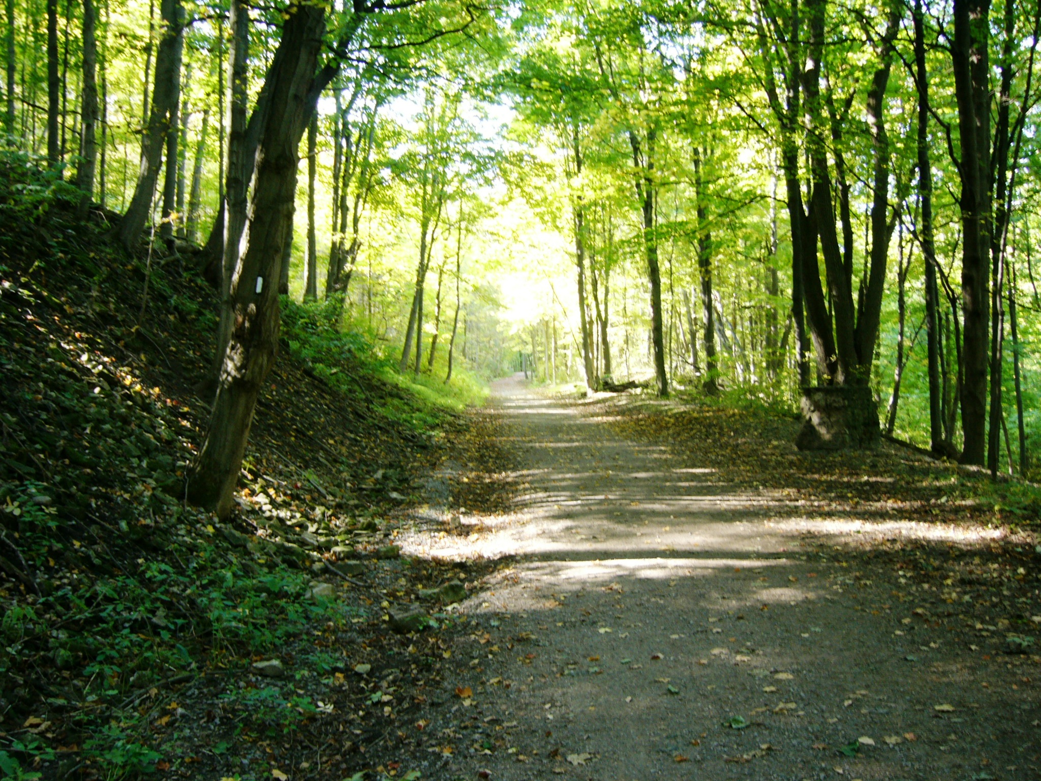 path